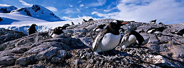 主机游戏需求低迷 AMD游戏业务重创：收入利润双降，主机销量下滑