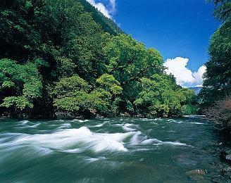 《飙酷车神》系列玩家总数超过4000万 今年有新作发售